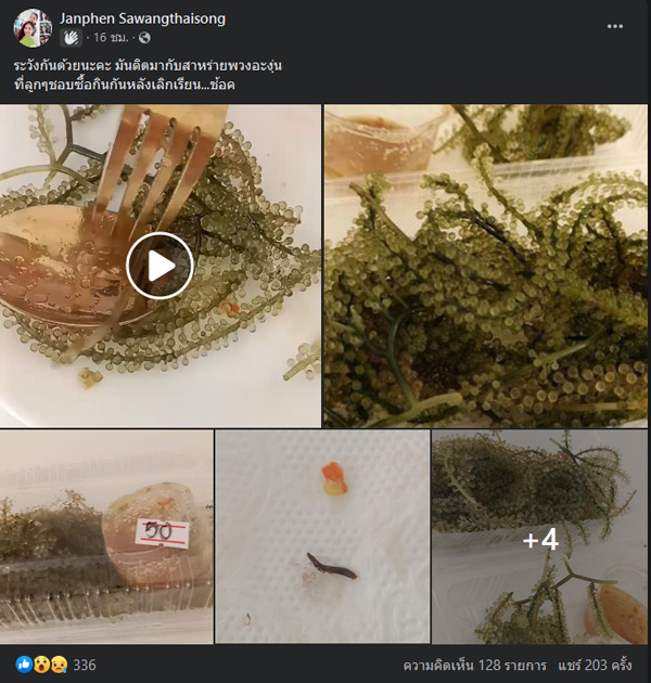 หนอนสาหร่ายพวงองุ่น