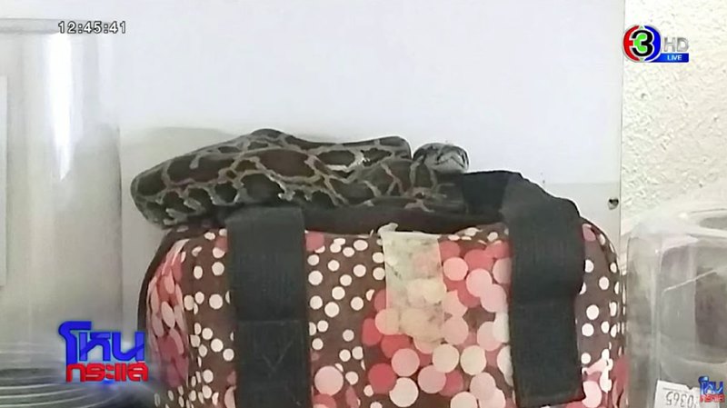 ไอซ์ ปรีชญา