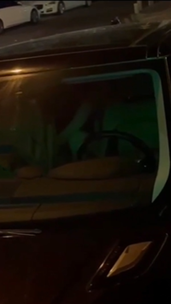 เซ็กส์ในรถ