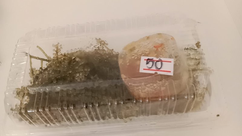 หนอนสาหร่ายพวงองุ่น