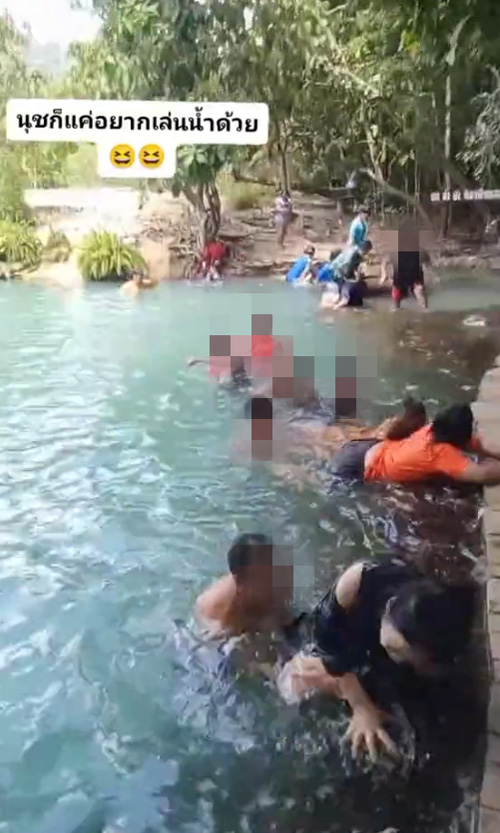 งูว่ายน้ำ