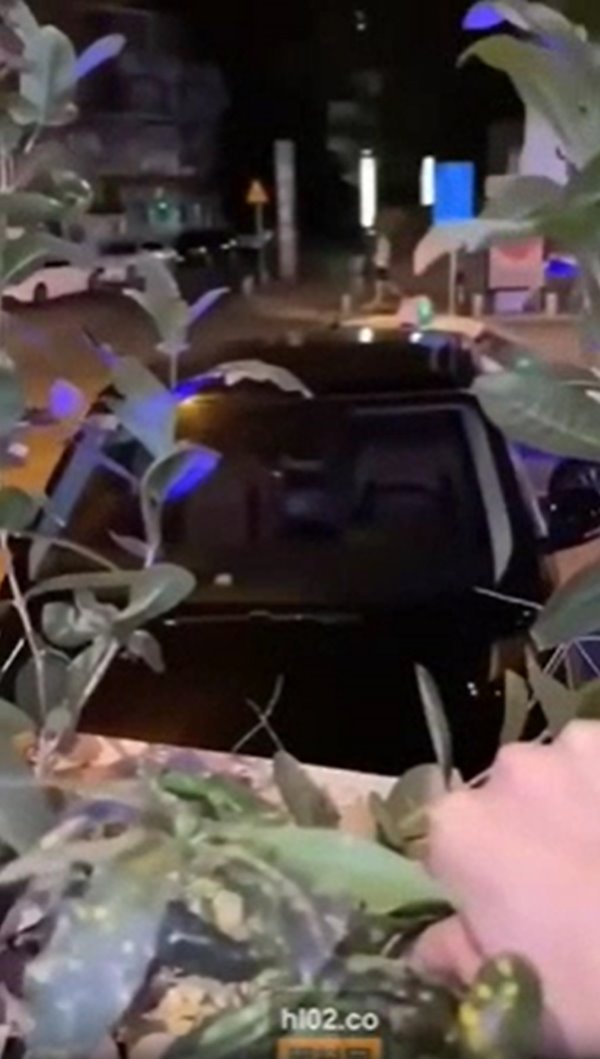 เซ็กส์ในรถ