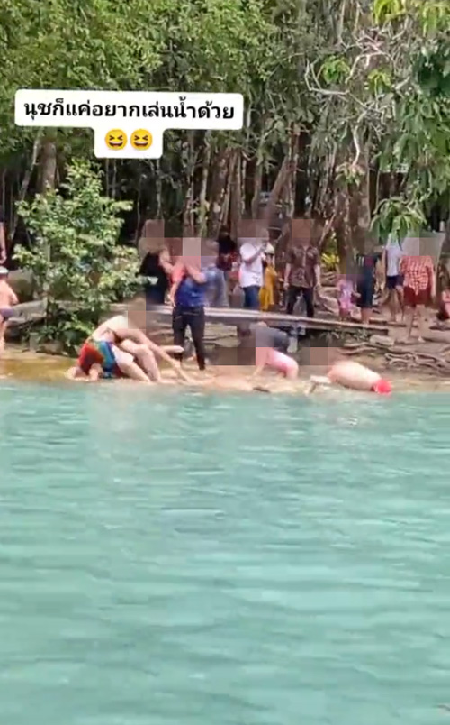 งูว่ายน้ำ