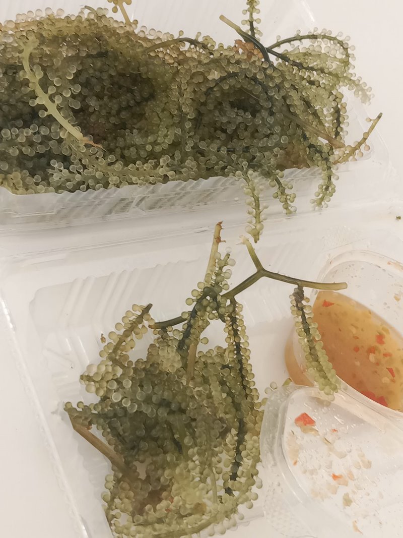 หนอนสาหร่ายพวงองุ่น