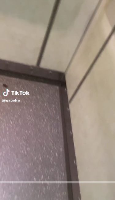 ไรเดอร์กลัวแมลงสาบ