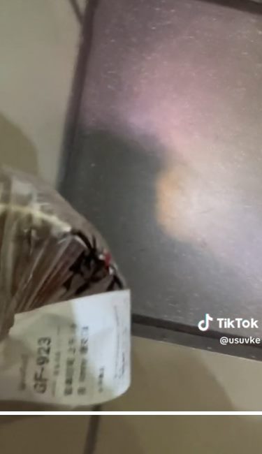 ไรเดอร์กลัวแมลงสาบ