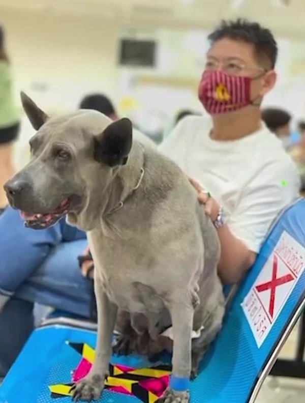 ลำดวน หมาสรยุทธ