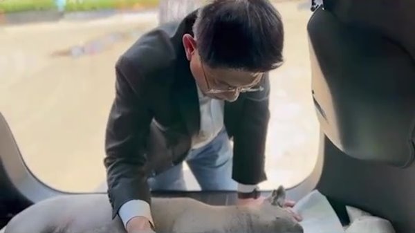 ลำดวน หมาสรยุทธ