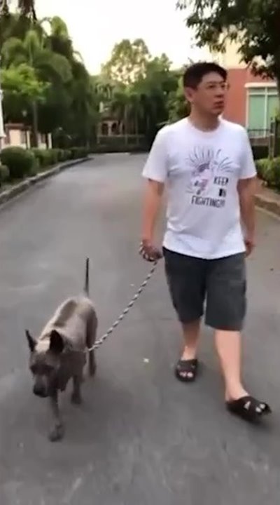 ลำดวน หมาสรยุทธ