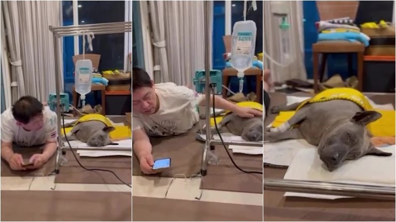 ลำดวน หมาสรยุทธ