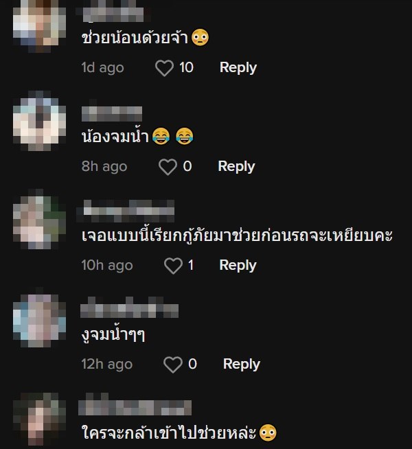 งูโผล่จากท่อระบายน้ำ