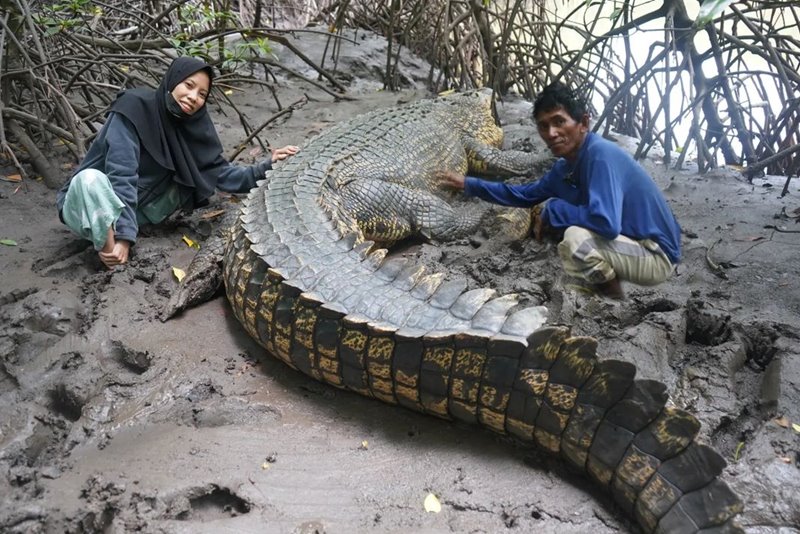 คนกับจระเข้