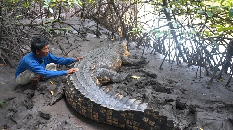 คนกับจระเข้