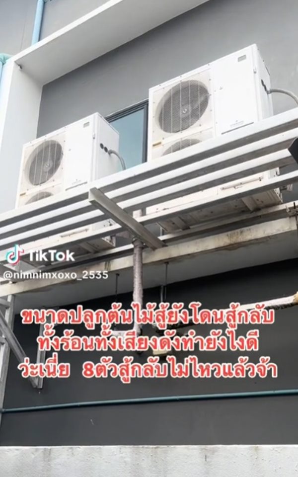 ปัญหาเพื่อนบ้าน