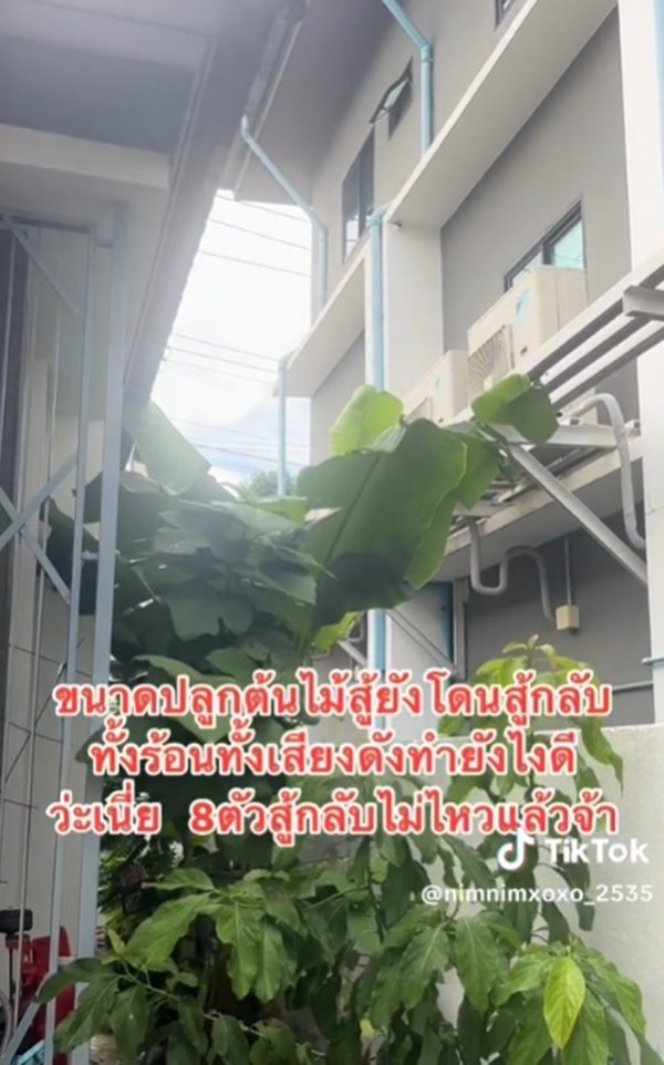 ปัญหาเพื่อนบ้าน