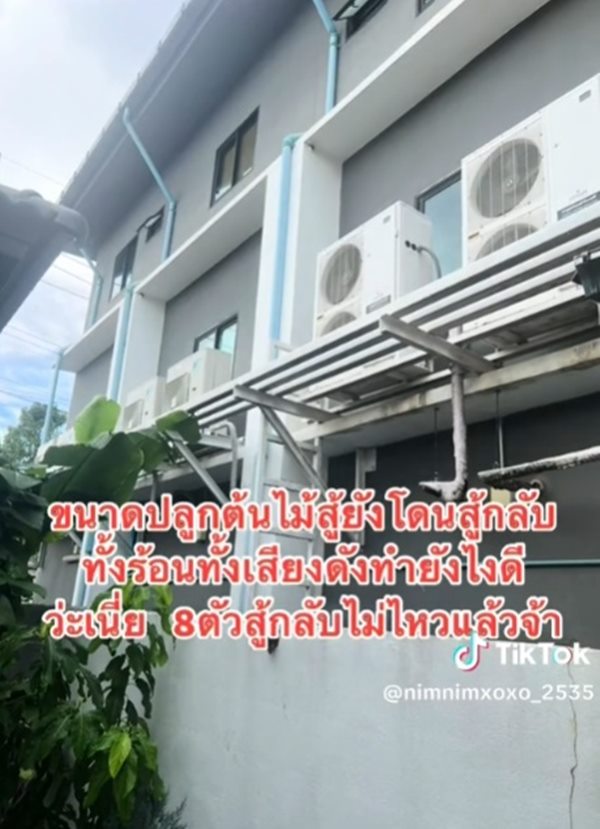 ปัญหาเพื่อนบ้าน