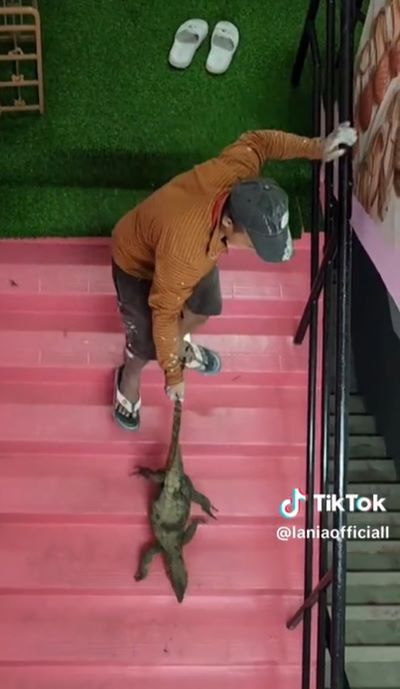 ตัวเงินตัวทองบุกร้านค้า