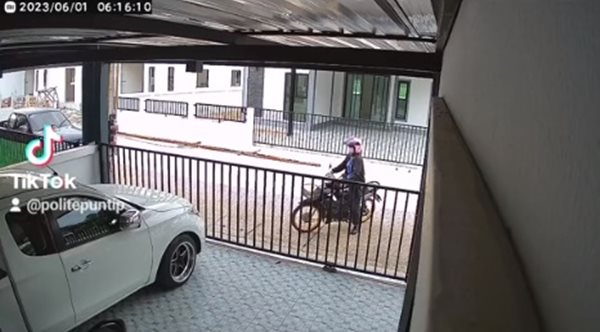 แมวซ้อนท้ายรถ