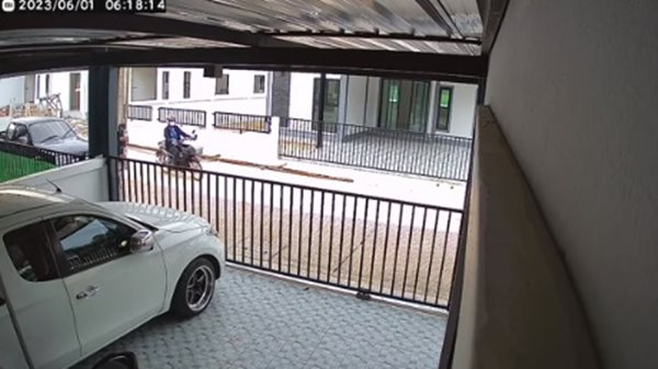 แมวซ้อนท้ายรถ