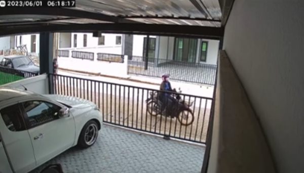 แมวซ้อนท้ายรถ