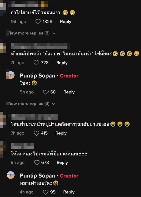 แมวซ้อนท้ายรถ