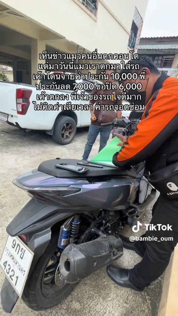 แมวตกใส่รถ