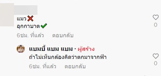 แมวตกใส่รถ