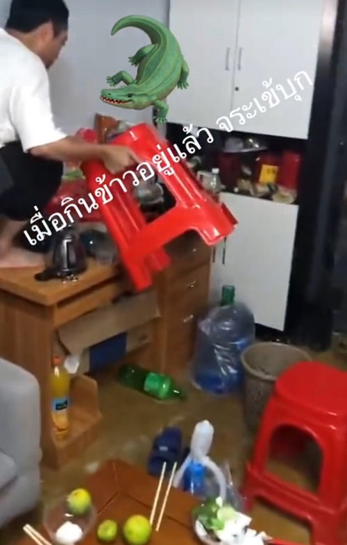 จระเข้บุกบ้าน