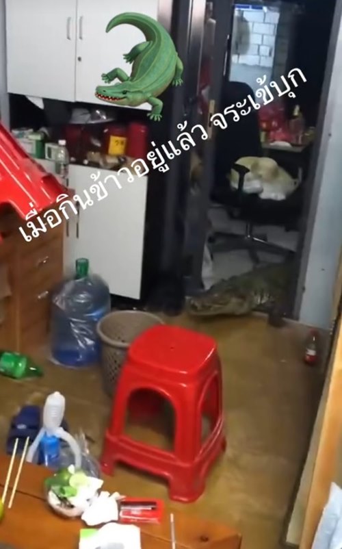 จระเข้บุกบ้าน