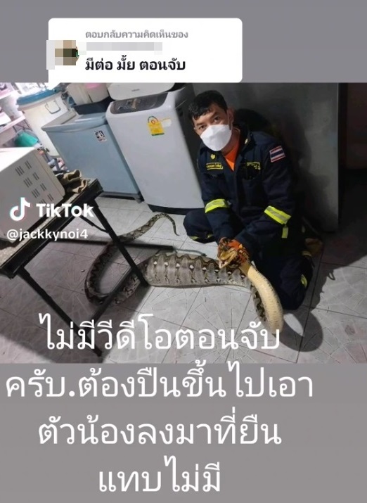 กู้ภัยจับงู