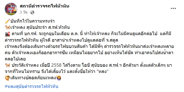 เจ้าหลง สุนัขหัวหิน