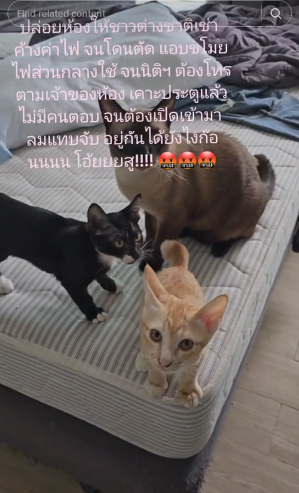 ห้องเช่า