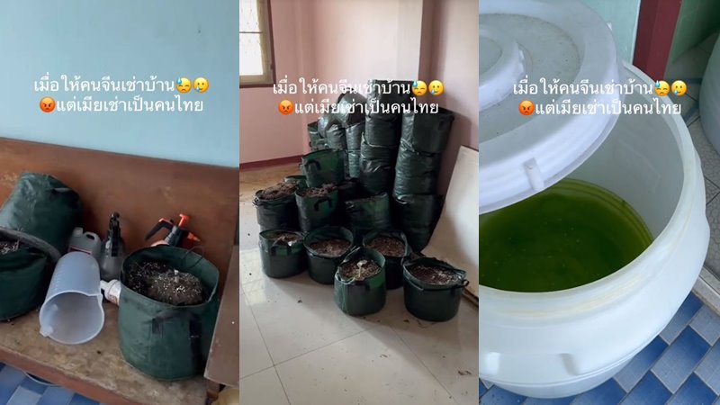 บ้านเช่า