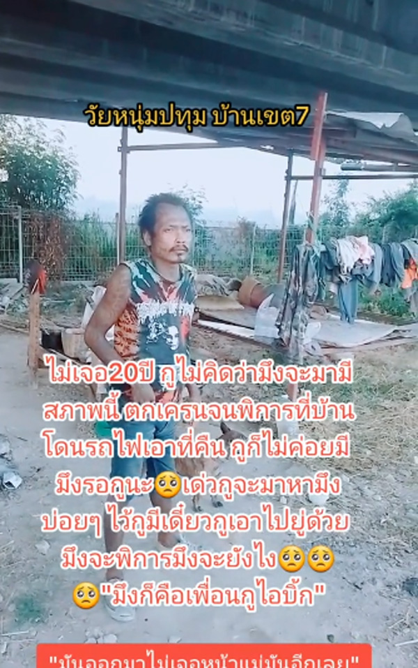 มิตรภาพของเพื่อน