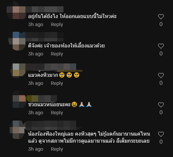 ห้องเช่า