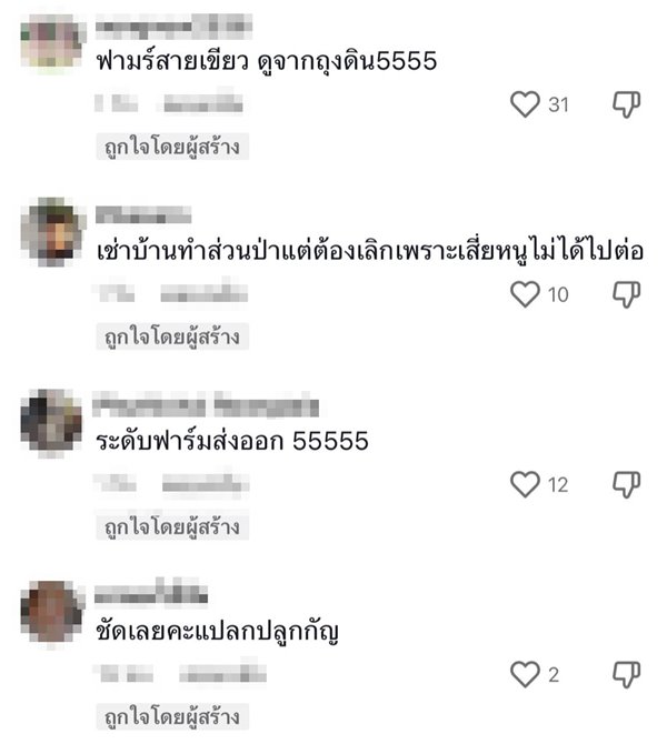 บ้านเช่า