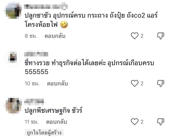บ้านเช่า