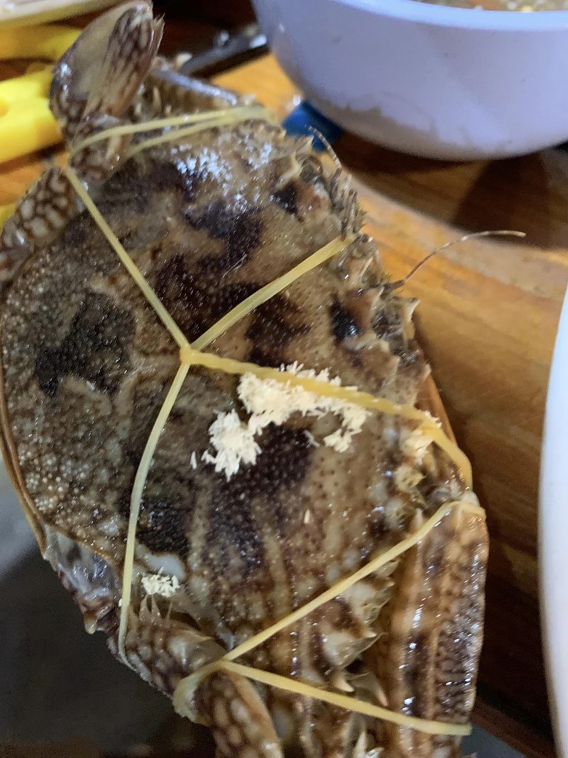 ลูกค้าโวยร้านอาหาร