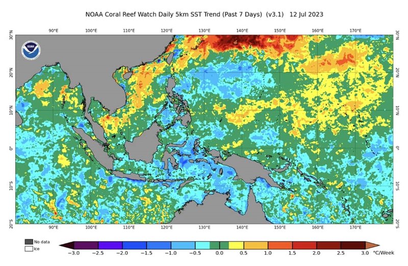 เอล นีโญ่