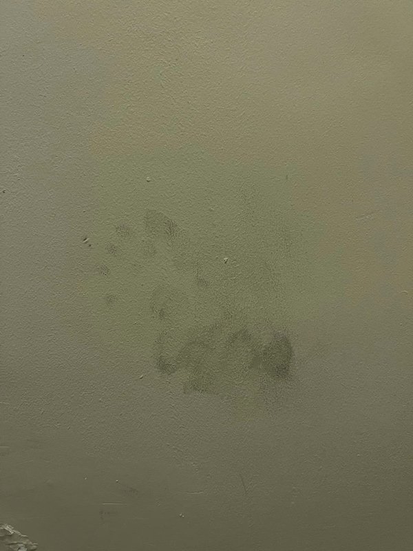 โรงแรมผีสิง