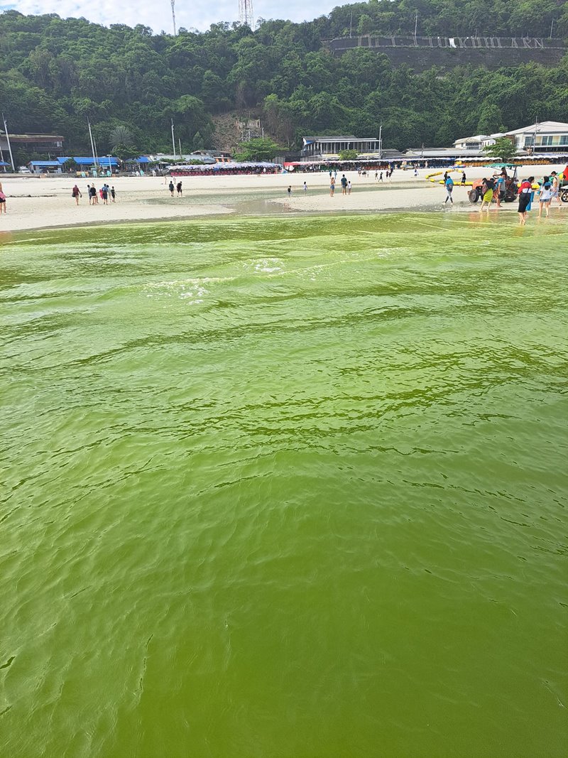 ขี้ปลาวาฬ เกาะล้าน