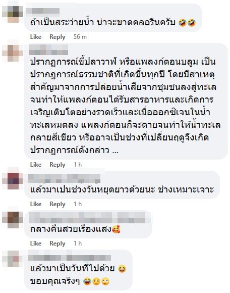 ขี้ปลาวาฬ เกาะล้าน