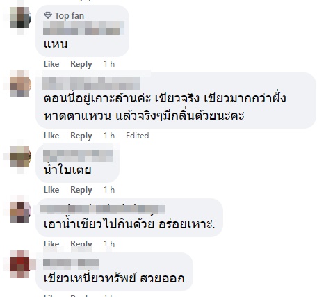 ขี้ปลาวาฬ เกาะล้าน