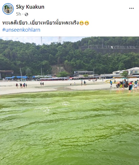 ขี้ปลาวาฬ เกาะล้าน