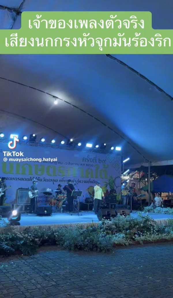 นกกรงหัวจุก