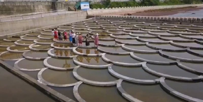 เต้นกลางเขื่อน