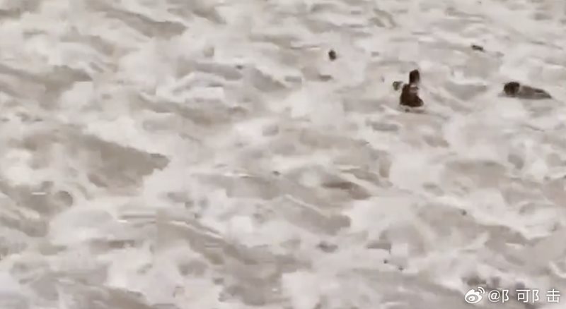 เต้นกลางเขื่อน