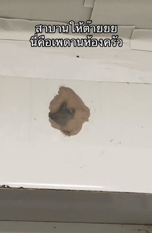 ห้องเช่า