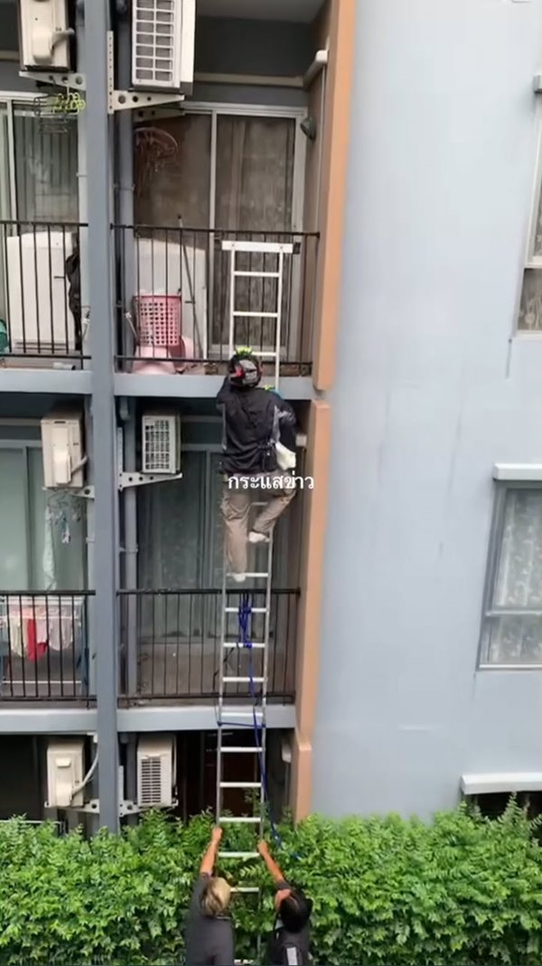 งูขึ้นคอนโด