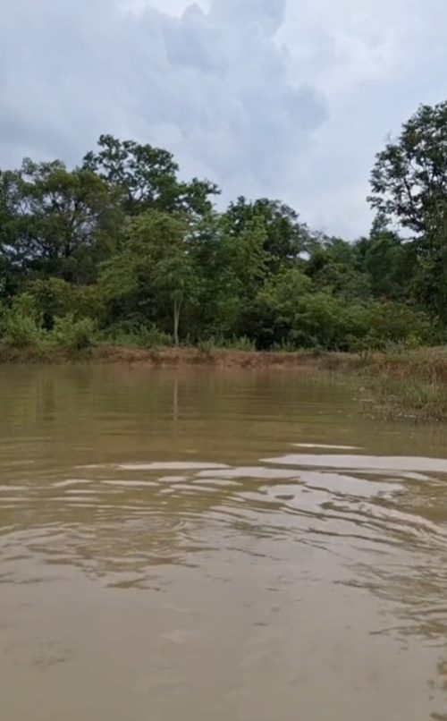 ปลิงเข้ากี